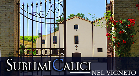 Sublimi Calici nel Vigneto Ingresso