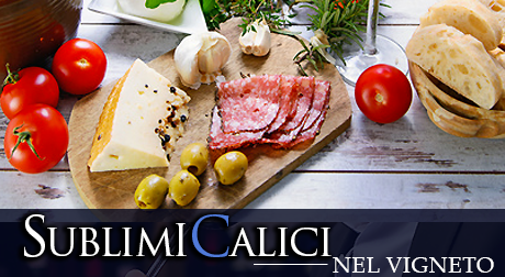 Antipasto nel vigneto