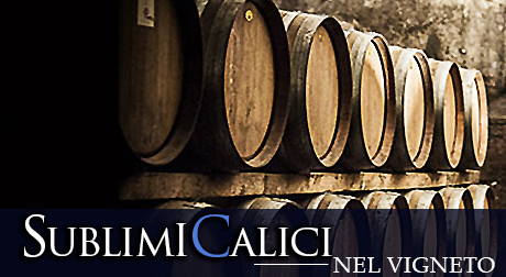 Botti di vino in cantina