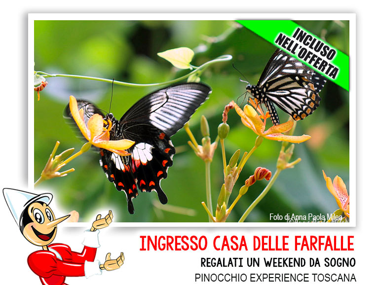 Casa delle Farfalle Toscana