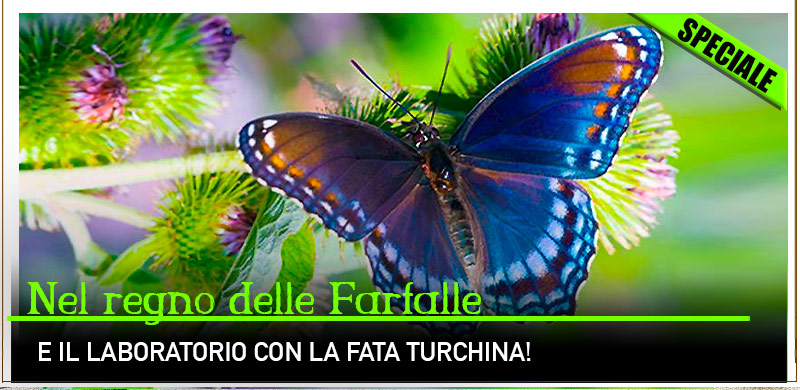 Collodi Butterfly House e Giardino Garzoni