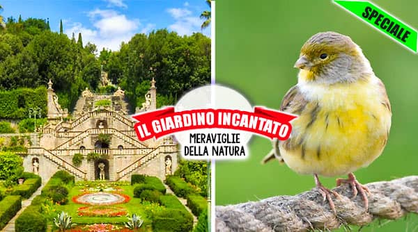 Il Giardino incantato in Toscana