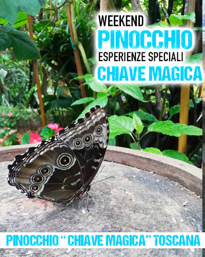 Casa delle Farfalle Parco di Pinocchio Collodi Toscana
