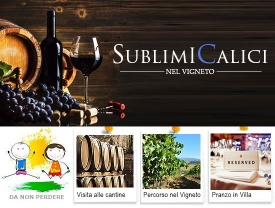 Sublimi Calici nel Vigneto Montefalco Umbria