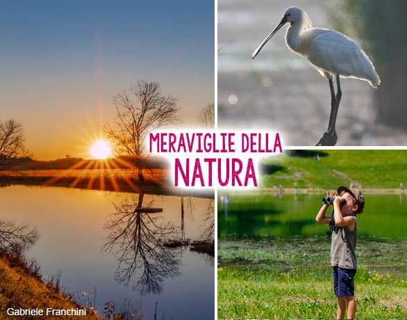 Via Francigena in Toscana bird watching per bambini